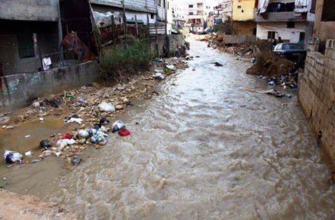 نهر الغدير والنورس والمطار