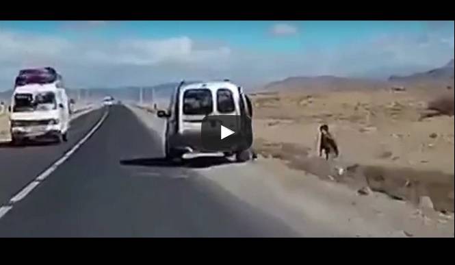فيديو مروع - ببرودة أعصاب رجل عربي يرمي طفلاً من سيارته  ويكمل طريقه!