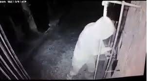 بالفيديو: حاول السرقة في بيت القديس شربل بقاعكفرا.. ولكن!