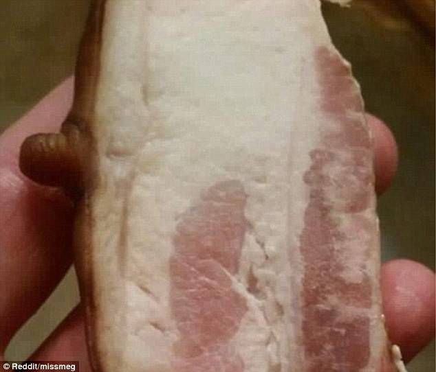صور غريبة.. خمّنوا ما هي!