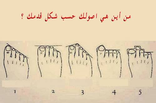 اكتشف أصولك من شكل أصابع قدمك!