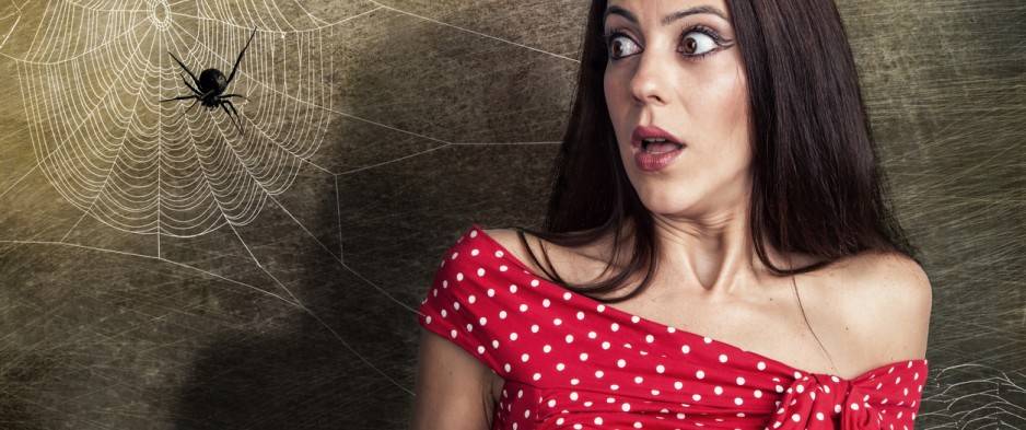 إليكم كيفية التخلص من رهاب العناكب