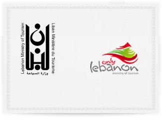 تعميم الى وكالات السفر من الفئة الاولى للدخول الى حرم المطار