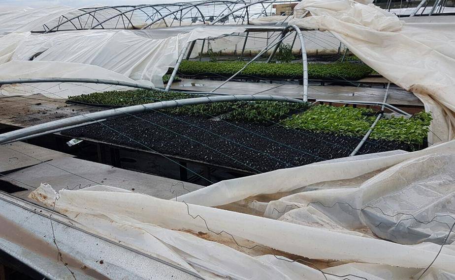 العاصفة تلحق أضرارا بالمزروعات في عكار وتقضي على 1200 قفير نحل في العريضة