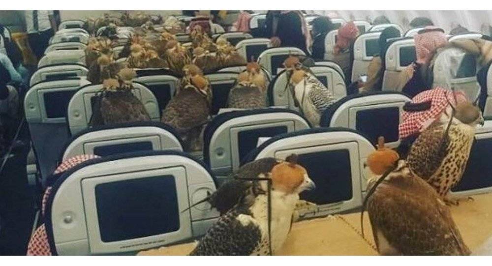 بالفيديو...أمير سعودي يحجز 80 تذكرة طيران لـصقوره