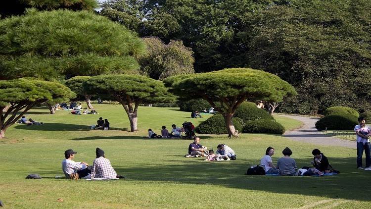 لماذا دخل آلاف السياح حديقة يابانية مجاناً؟