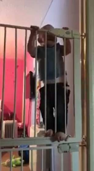 شاهد شقاوة هذا الطفل ومهارته في تسلق بوابة معدنية