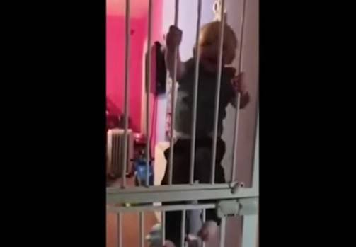 بالفيديو.. رضيع بريطاني يتقن التسلّق والهروب