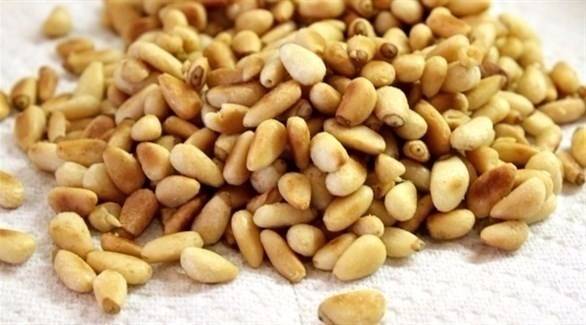 فوائد صحية رائعة للصنوبر تهمّك معرفتها