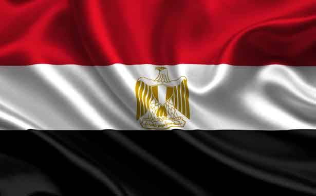 مصر إلى الغد