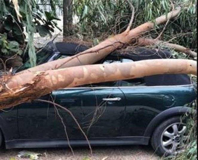 "كلو عم يقللي هيدي عين!".. بالصورة - فنان لبناني شهير ينجو من الموت!