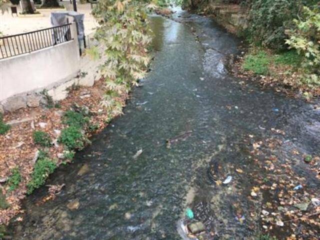 نهر رشعين بين تلوث مزمن وحلول مرتقبة