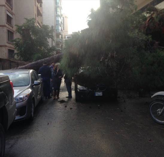 بالصورة.. سقوط شجرة على سيارة في الطيونة بسبب العاصفة