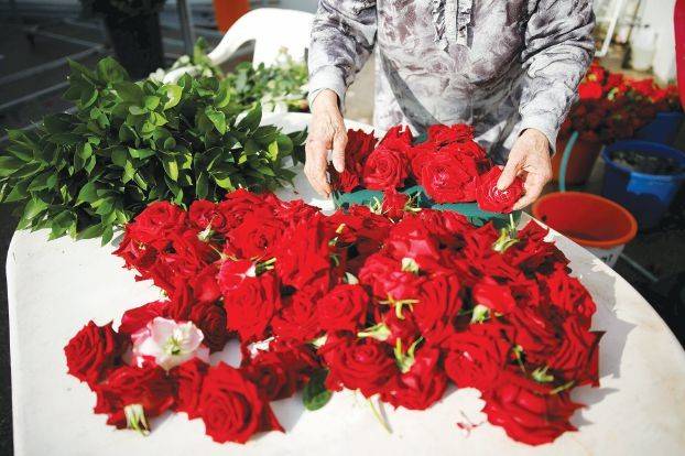 لا سوق سوداء في فالنتاين.. "يا ورد من يشتريك؟"