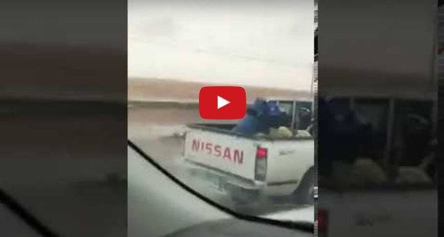 فيديو يفضح تصرفًا غير إنساني من سائق تجاه 3 عمال