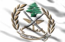 الجيش: تفجير ذخائر في محيط بلدات جنوبية