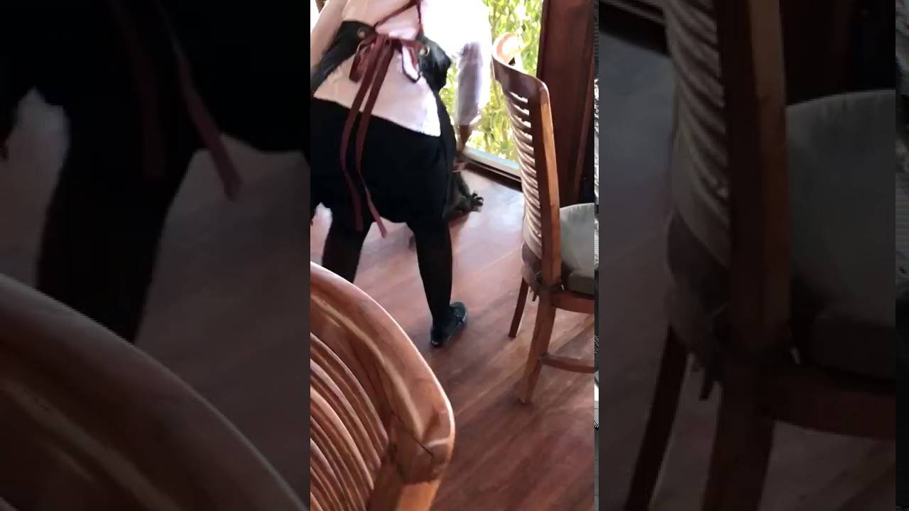 بالفيديو: نادلة فرنسية تقوم بعمل صادم...