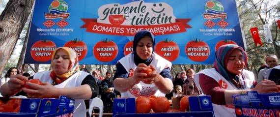 امرأة تركية تأكل 5 كيلوغرامات من الطماطم في 3 دقائق
