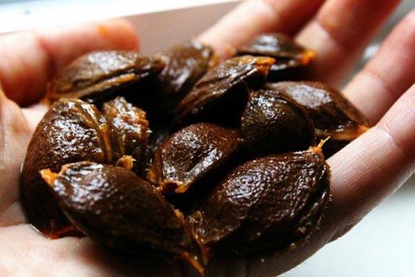 الفيتامين B17 ممنوع لأنه يعالج السرطان