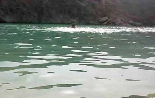بحيرة تظهر فجأة في ولاية منوبة؟