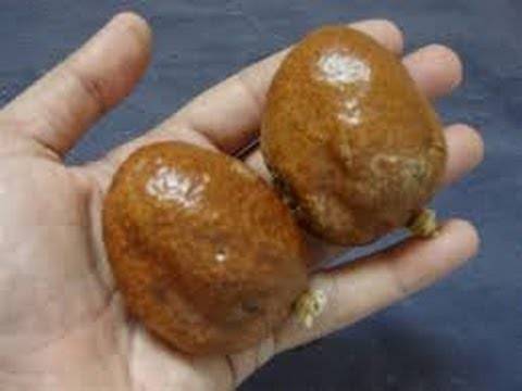 فياجرا طبيعية يغنيك عن اى علاجات جنسيه
