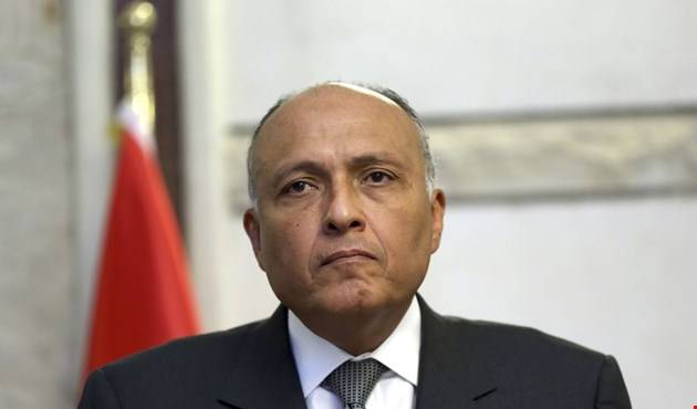 شكري: الأزمة السورية مقبلة على تسوية