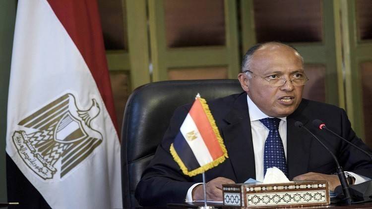 شكري يبحث مع السراج تطورات الوضع الليبي
