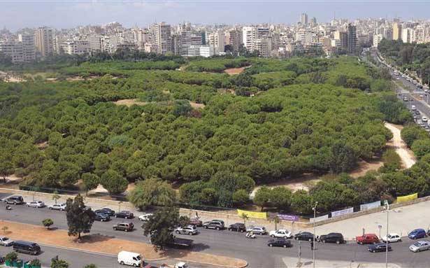بلديّة بيروت تعلن عن إقفال الحرج
لمعالجة أشجاره من حشرات فتاكة