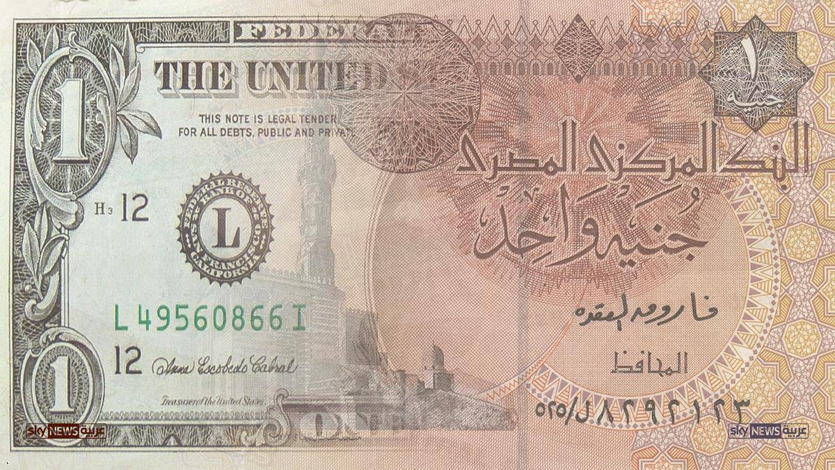 الجنيه المصري يهبط لأدنى مستوى في شهر
