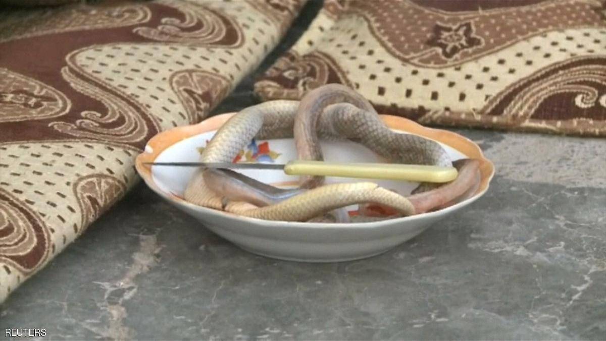 نصيحة مريضة بالسرطان: "تناول ثعبان واحد في الشهر"