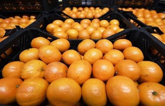 دمشق تكشف عن تأسيس شركة روسية سورية للتصدير