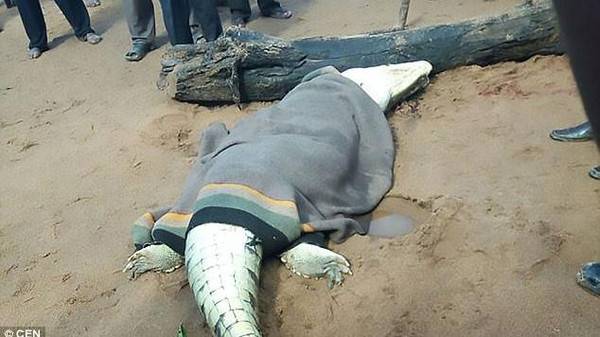 فيديو مؤلم.. وجدوا بقايا طفلهم في جوف التمساح