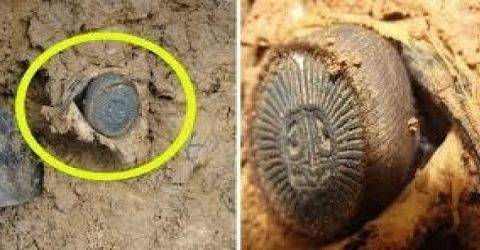 اذا رأيت هذا الشيء فلا تلمسه أبدا .. لانك ستموت خلال 5 ثوان !