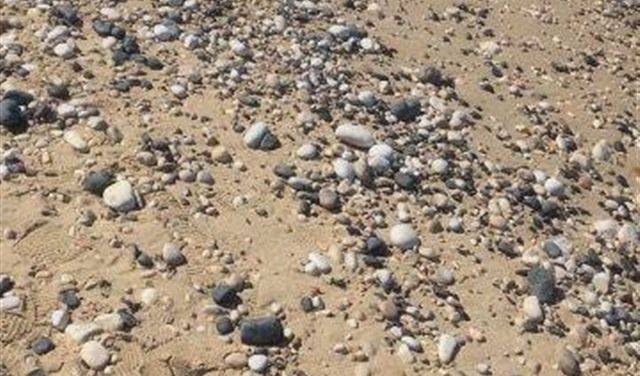 بالصورة.. طفل جثة في نهر ابراهيم