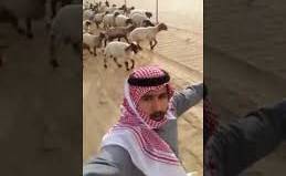 بالفيديو..خليجي أراد التقاط 