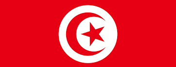 الخارجية التونسية تستدعي سفيرة بريطانيا لتوضيح قرار حظر الحواسيب بالطائرات