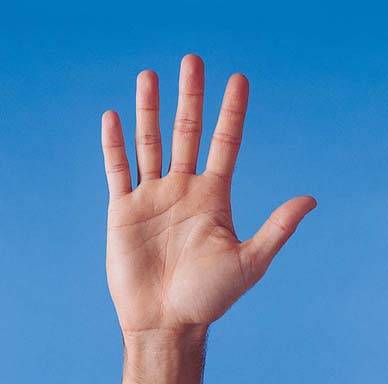 أخيراً.. العلماء يكتشفون لماذا نملك 5 أصابع وليس 6؟!