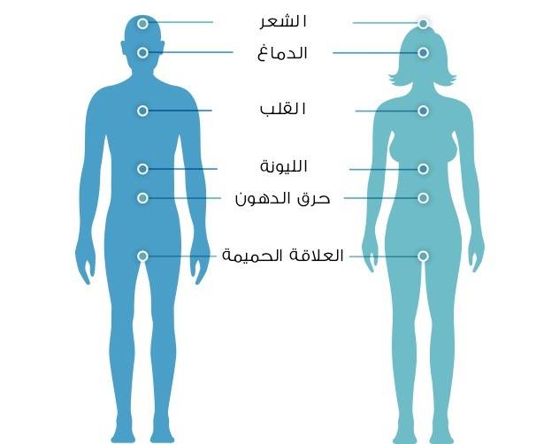 9 فروقات بين جسم المرأة وجسم الرجل: حقائق مذهلة لم تعرفيها من قبل