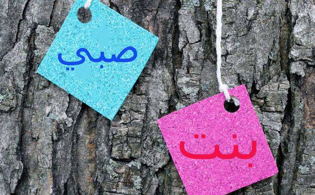 ما هي العلاقة بين كثرة اللعاب عند الحامل ونوع الجنين؟