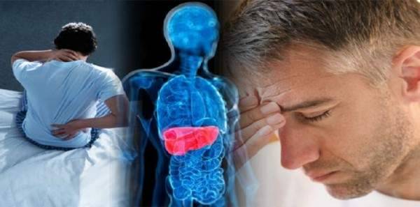 إرشادات للمحافظة على صحة الكبد