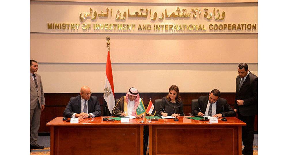 مصر والسعودية تؤسسان شركة لدعم المشاريع الصغيرة والناشئة