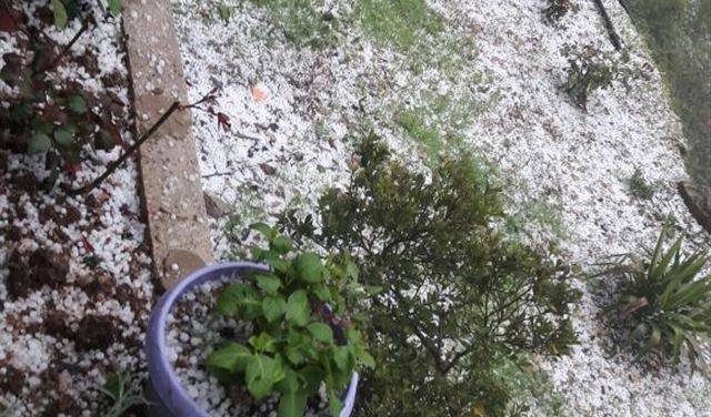 تساقط البرد بغزارة في عكار العتيقة ومحيطها