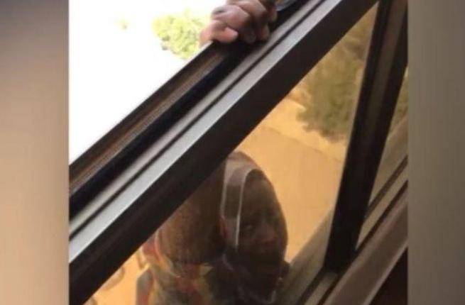 بالفيديو: في بلد عربي.. تركت خادمتها تواجه الموت واكتفت بالتصوير!!
