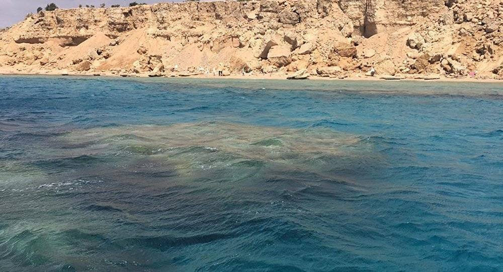 محكمة مصرية تقضي بصحة اتفاقية "تيران وصنافير"