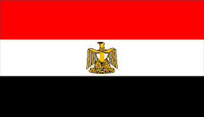 دار الإفتاء المصرية اكتشفت وجود 3 آلاف فتوى تحرض على هدم الكنائس في مصر (العربية)