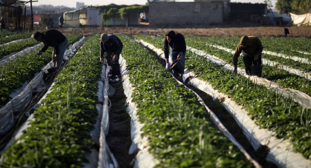 "الاقتصاد الفلسطينية": نسعى لتعزيز العلاقات التجارية مع موسكو ودخول السوق الروسية