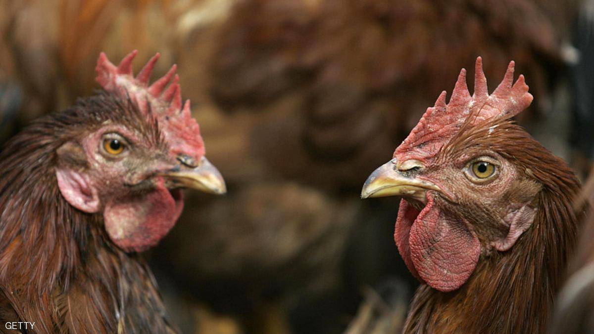 “أسوأ وباء” في التاريخ قد يعود بشكل جديد