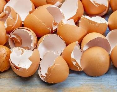 فوائد قشر البيض للبشرة وحقائق لا تُصدق