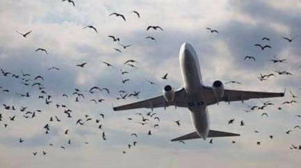 إفتتاح خط طيران مباشر بين بيروت و أرمينيا