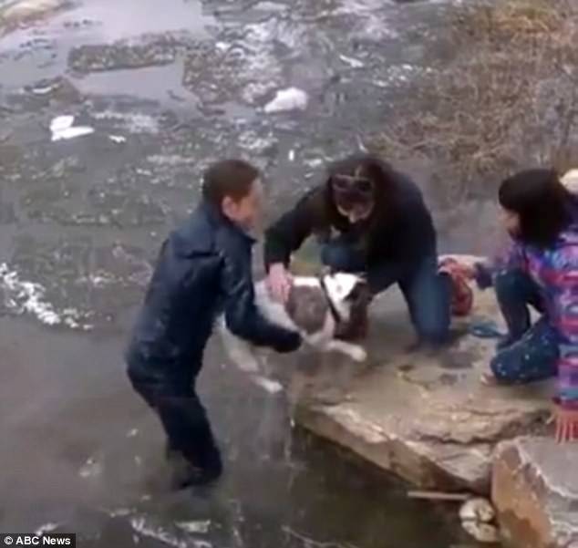 بالفيديو.. غامر بحياته لإنقاذ كلبه من الغرق!